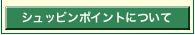 シュッピンポイントについて
