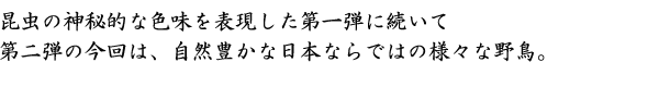 野鳥 インク