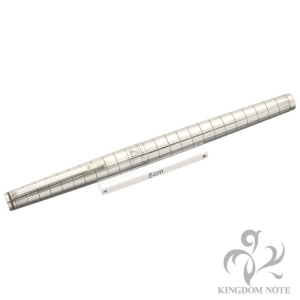 PLATINUM プラチナ 万年筆 リビエール シルバープレート 14KWG/細字 メイン