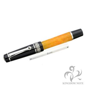 DELTA デルタ 万年筆 ドルチェビータ アンダーサイズ M メイン