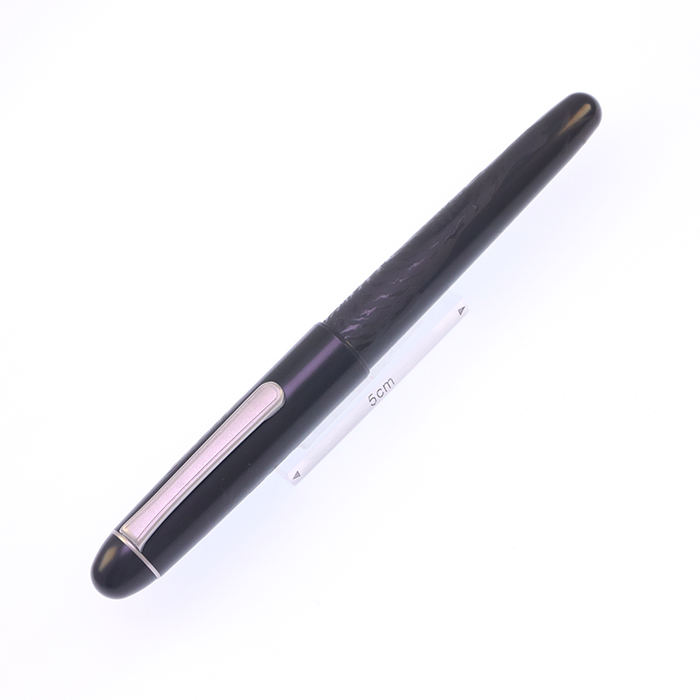 中古)PLATINUM プラチナ 万年筆 #3776 漆黒 闇鋭竹虎王図 太字（商品ID