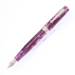 万年筆 ビンテージコレクション パープル M