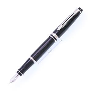 WATERMAN ウォーターマン 万年筆 エキスパート エッセンシャル ブラックCT 18K/M メイン