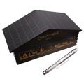 CARAN d'ACHE カランダッシュ 万年筆 オーバーアルプ