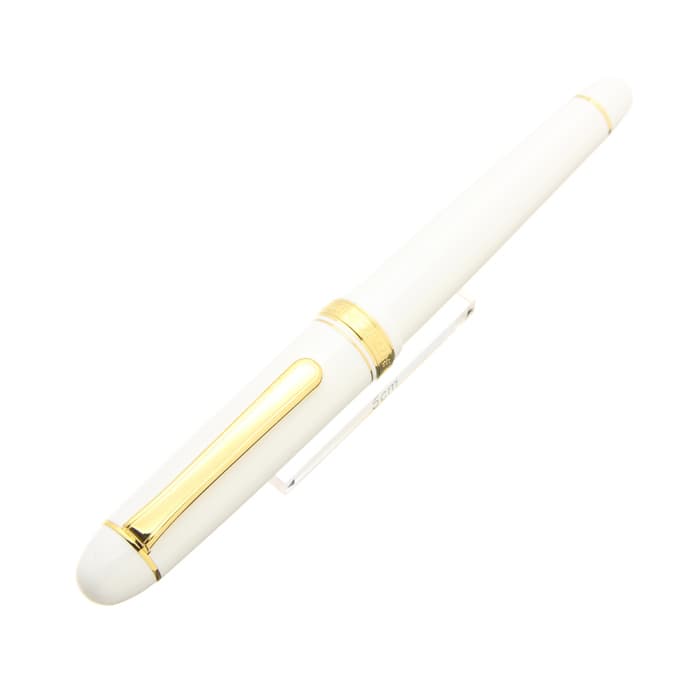 新品)PLATINUM プラチナ 万年筆 #3776 センチュリー シュノンソー