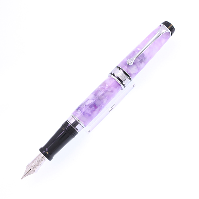 中古)AURORA アウロラ 万年筆 リミテッドエディション