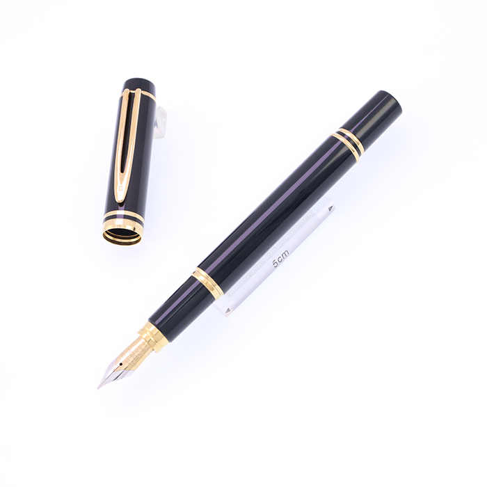 WALTHAM ウォーターマン ル・マン100 万年筆 1362 ウォーターマン 万年筆 ル・マン100 ブラック WATERMAN Le Man