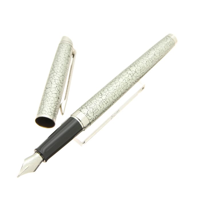 新品)WATERMAN ウォーターマン 万年筆 メトロポリタン デラックス