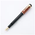 MONTBLANC モンブラン 万年筆 作家シリーズ2000 フリードリッヒ･シラー M