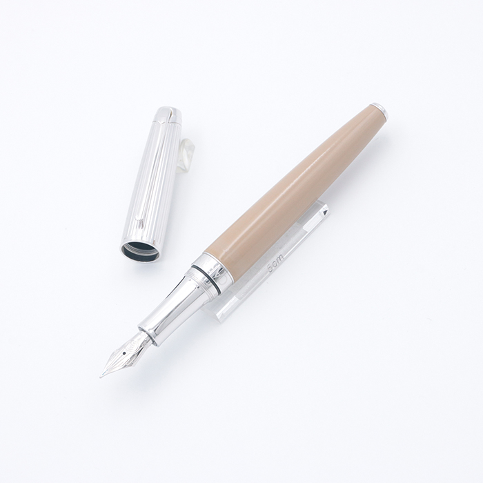 【戌】【中古】CARAN d'ACHE レマン万年筆 F 戌様専用】【中古】CARAN d'ACHE レマン万年筆 F