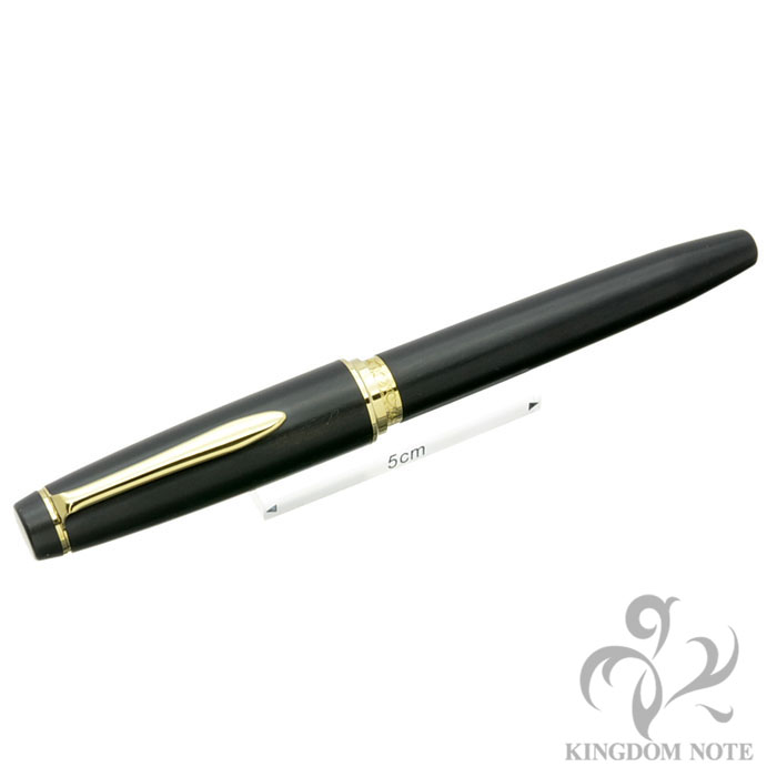 万年筆 黒檀 21K 希少アンティーク 世界の銘木シリーズ 年代物 ケース