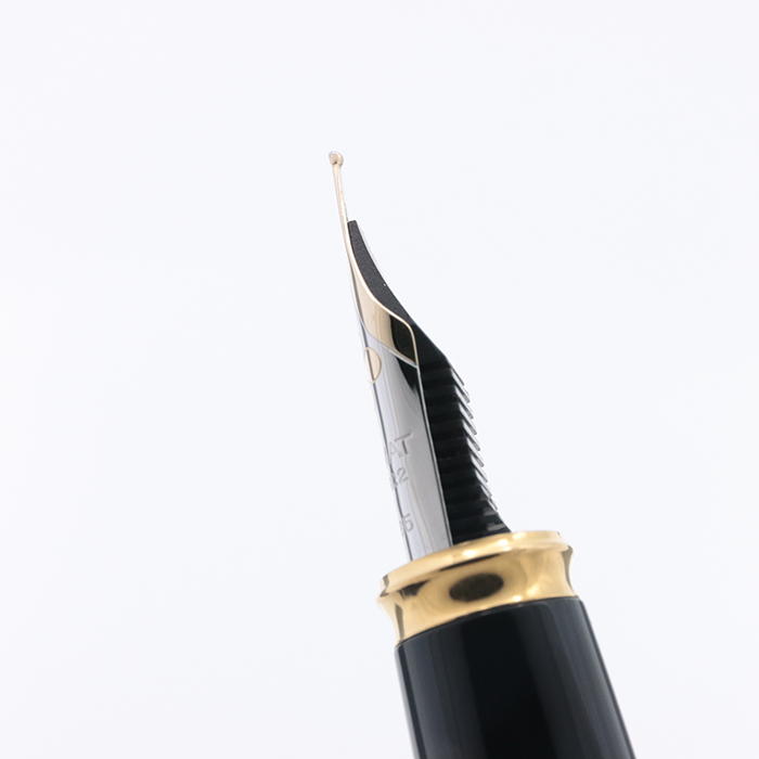 新品)DIPLOMAT ディプロマット 万年筆 エクセレンス A2 エバーグリーン