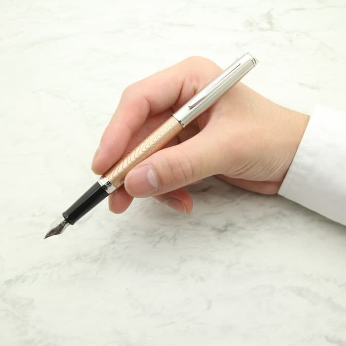 新品)WATERMAN ウォーターマン 万年筆 メトロポリタン デラックス