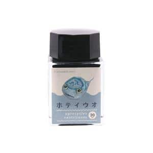 SAILOR セーラー ボトルインク キングダムノート別注 日本の生物シリーズ 「ダンゴウオ」 ホテイウオ 20ml メイン