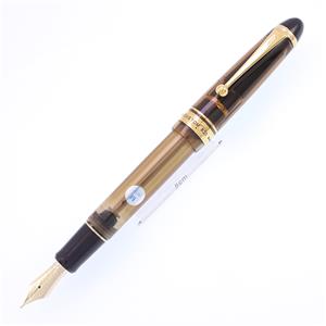 PILOT ペン先一体型 黒い 万年筆 カートリッジインク ケース付き 