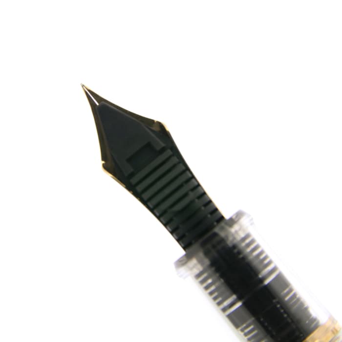 PLATINUM #3776 万年筆 Fサイズ スケルトン NAGASAWA オリジナル万年筆 スケルトン ＃3776センチュリー