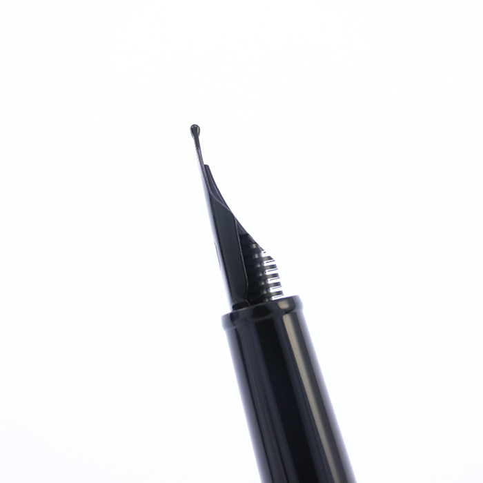 新品)CARAN d'ACHE カランダッシュ 万年筆 ブラックエディション 849