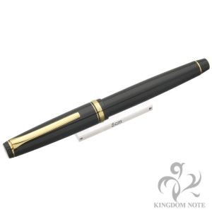 PILOT パイロット 万年筆 ナミキ ファルコン 軟細字 メイン