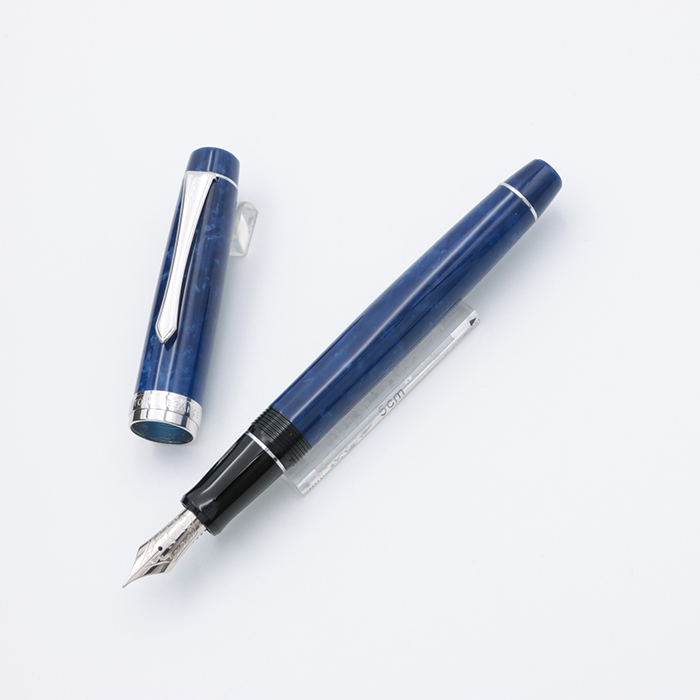 パイロット エリート カスタム E-5000GS【万年筆、美品】 パイロット 万年筆 エリート カスタム E-5000GS スクリプト PILOT