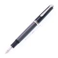 Pelikan ペリカン 万年筆 スーベレーン M605 ブラックストライプ EF