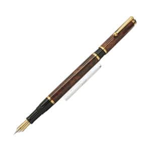 WATERMAN ウォーターマン 万年筆 ウォータミナ トートイスシェルラッカー F メイン