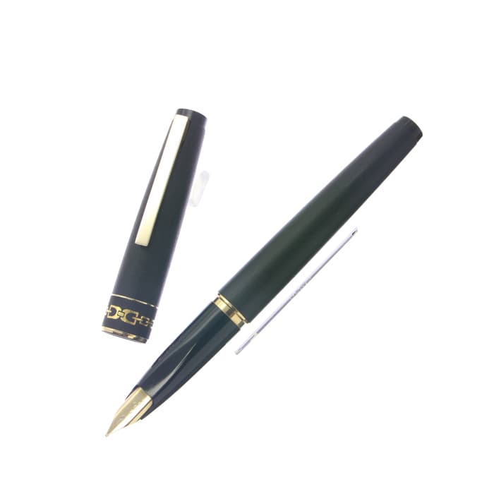 プラチナ万年筆　グラマー14金 プラチナ万年筆 グラマー 鉄ペンと金ペンの2本セット 思いがけず手に