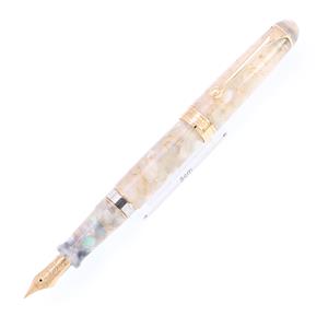 AURORA アウロラ 万年筆 リミテッドエディション ヴィアッジョ･セグレット VOLTERRA ヴォルテッラ EF メイン