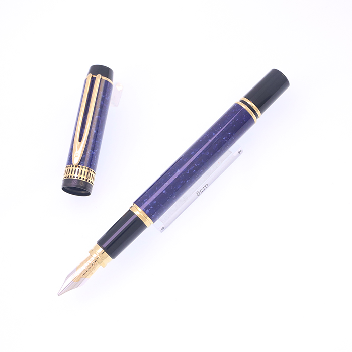 中古)WATERMAN ウォーターマン 万年筆 ル・マン100 パトリシアン