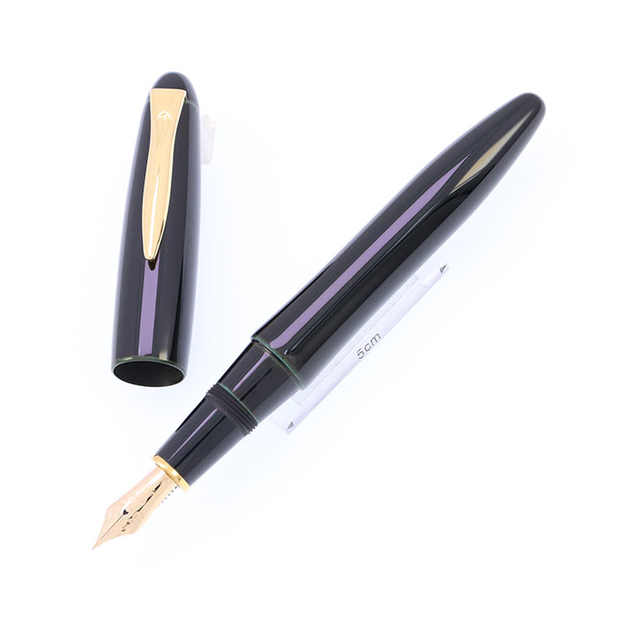 新品)PLATINUM プラチナ 万年筆 出雲 溜塗り 空溜（商品ID