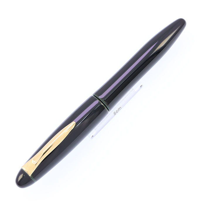 新品)PLATINUM プラチナ 万年筆 出雲 溜塗り 空溜（商品ID