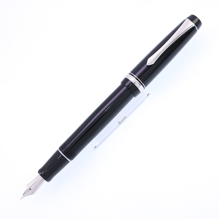 新品)PILOT パイロット 万年筆 カスタム ヘリテイジ912 ブラック