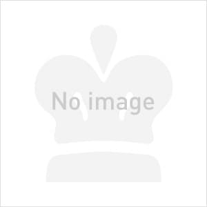 Pineider ピナイダー 万年筆 フルメタルジャケット アーミーレッド