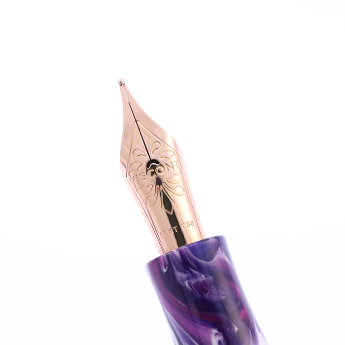 新品)VISCONTI ビスコンティ 万年筆 リミテッドエディション アース