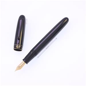 万年筆 創立80周年記念 四神 漆黒 中字