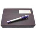 Montegrappa モンテグラッパ 万年筆 ラ･トーレ･ディ･ピサ リミテッドエディション M