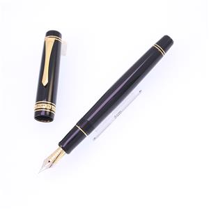 万年筆 創立75周年記念 パイロット75 中字