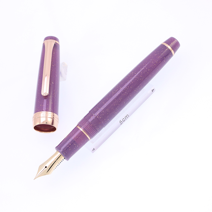 【箱付き美品】　シグナム　ノーバ　万年筆　パープル　18K 箱付き美品】 シグナム ノーバ 万年筆 パープル 18K 箱付き美品