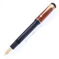 MONTBLANC モンブラン 万年筆 作家シリーズ2000 フリードリッヒ･シラー M