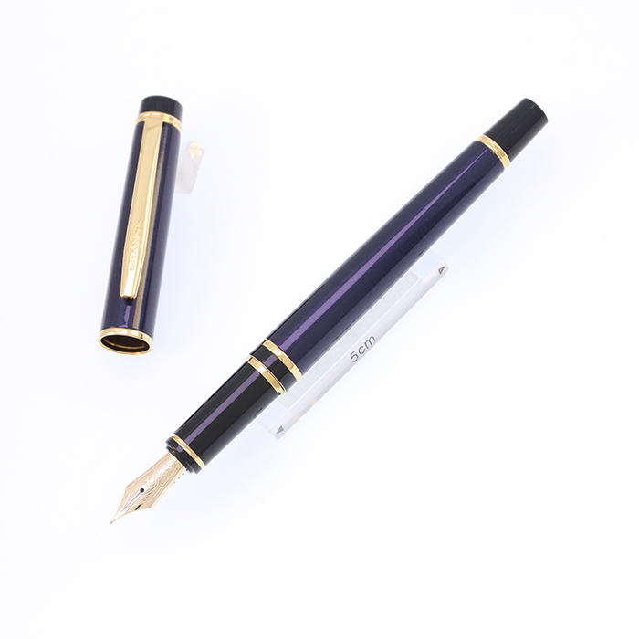 【新品未使用】パイロット万年筆FGRC12SRPPFペリカンTG-23N セット 中古)PILOT パイロット 万年筆 グランセ ダークブルー ゴールドトリム