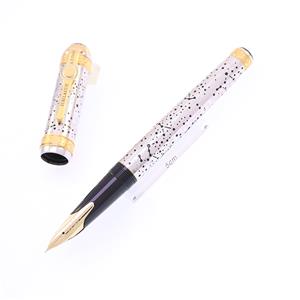 万年筆 ナミキ A.D.2000 星座タイプ 細字