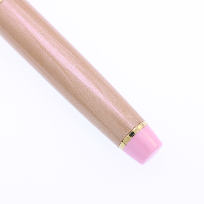 中古)SAILOR セーラー 万年筆 松坂屋名古屋店限定 プロフェッショナル