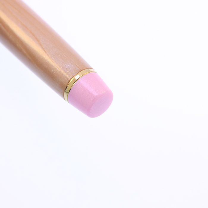 中古)SAILOR セーラー 万年筆 松坂屋名古屋店限定 プロフェッショナル