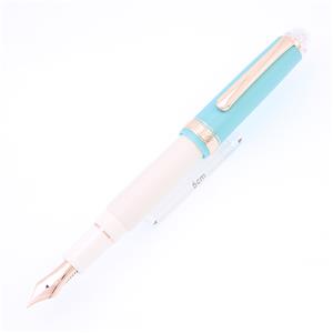 新品)PLATINUM プラチナ 万年筆 限定 #3776 センチュリー