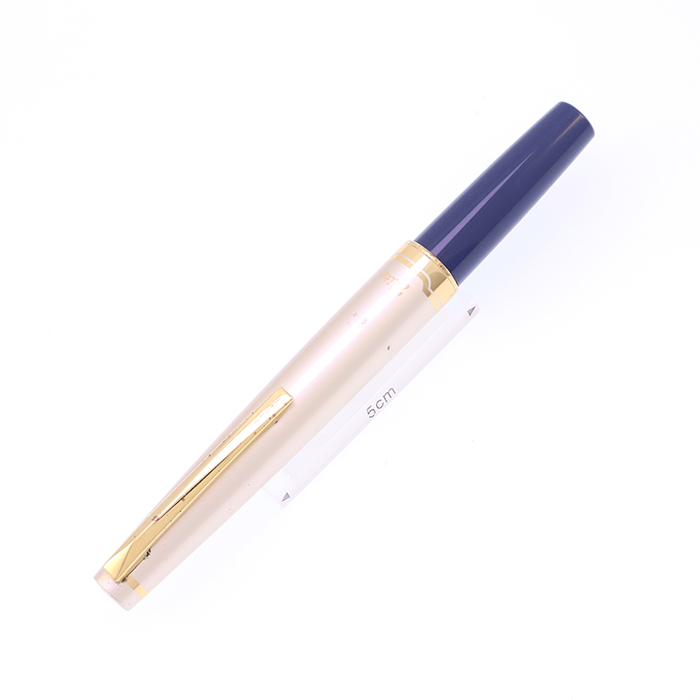 中古)PILOT パイロット 万年筆 株主限定 エリート95S ディープブルー