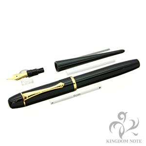 PLATINUM プラチナ 万年筆 リージェンシー ブラック 細字 メイン