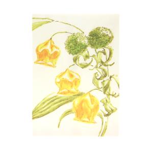 ノート KoNCREAT 04 A6  01-00345