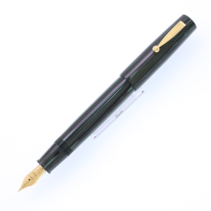 Parker Lucky Curve 万年筆 マーブルグリーン