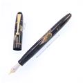 PILOT パイロット 万年筆 天皇即位記念 蒔絵 鳳凰 太字