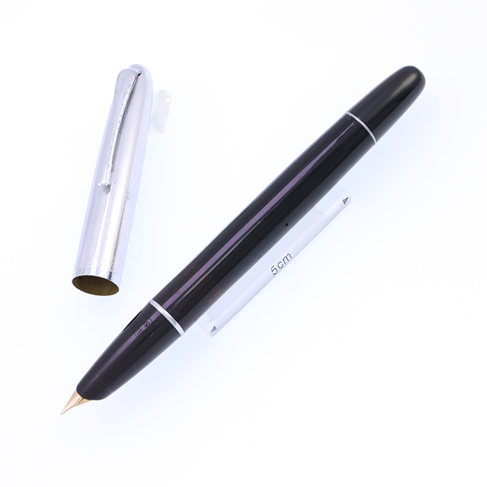 アウロラー万年筆限定品シルバー