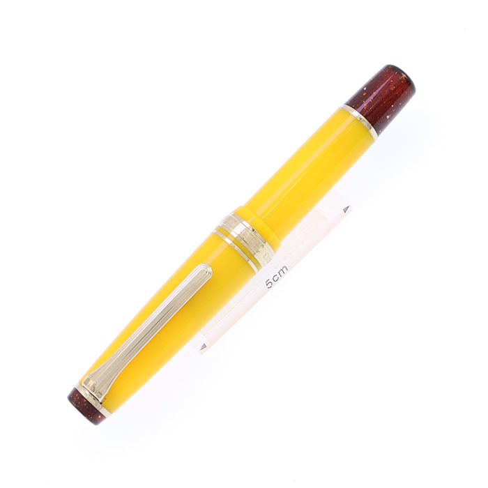 石丸文行堂 カステラ万年筆(プロギアスリム、MF)2024 年 送料無料] 石丸文行堂 オリジナル万年筆 カステラvol.2_2024 | 石丸文